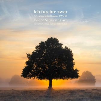 Bach: Erfreut euch, ihr Herzen in D Major, BWV 66: V. Ich furchte zwar