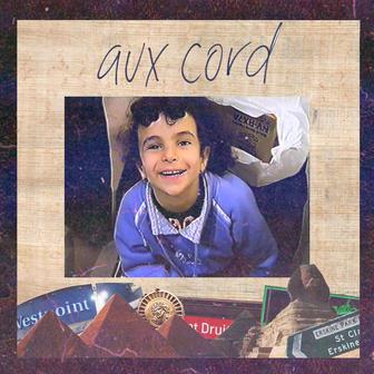 aux cord