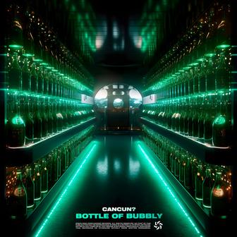 Bottle of Bubbly