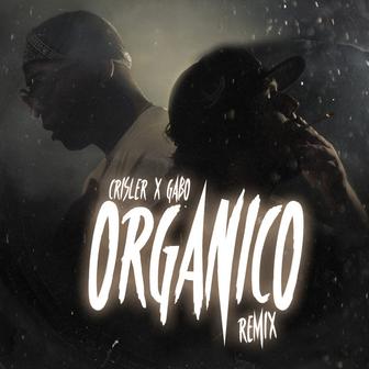 Organico (Remix)