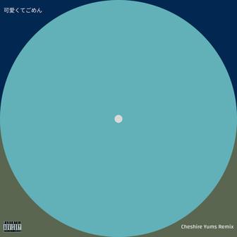 可愛くてごめん (feat. HoneyWorks & かぴ) [Remix]