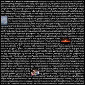 1996 (Manami Remix)