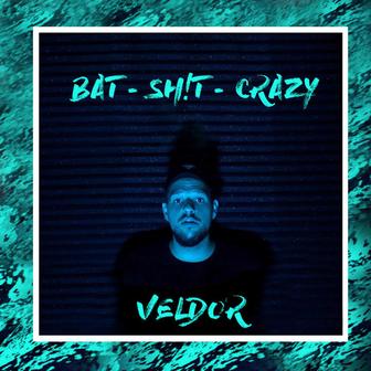 Bat Shit Crazy