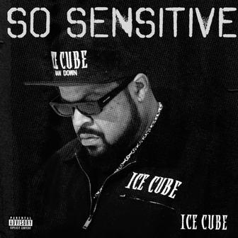 So Sensitive - Single