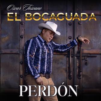 Perdón - Single