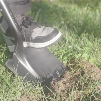 DIRT