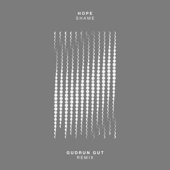 Shame (Gudrun Gut Remix)