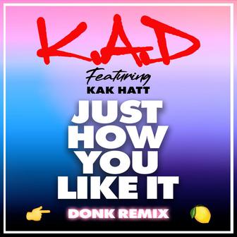 Just How You Like (Donk Remix)