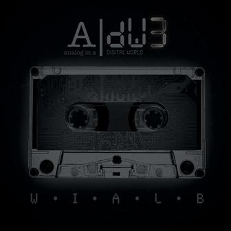 aNALOG iN a dIGITAL wORLD 3
