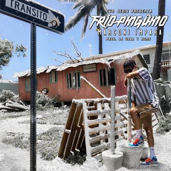 Frío Pingüino - Single