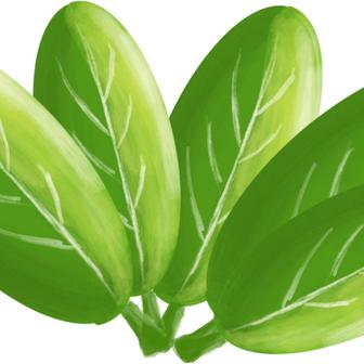 Karapis