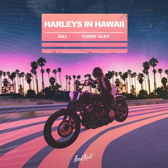 Harleys in Hawaii