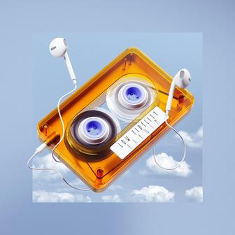 Low Fidelity
