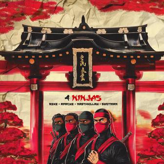 4 Ninjas