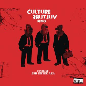 Culture Vulture (Remix) (feat. AKA & Emtee)