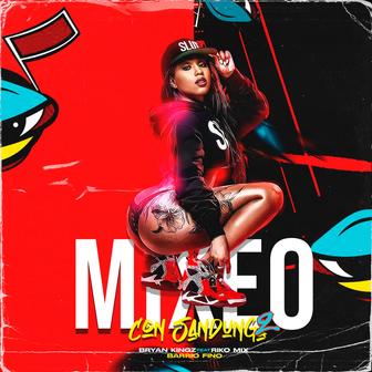 Mixeo Con Sandunga 2 (feat. Riko Mix) - Single