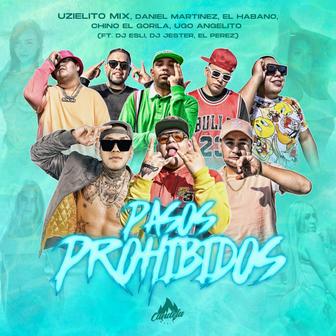 Pasos Prohibidos (feat. DJ Esli, DJ Jester, El Perez, Daniel Martinez, El Habano, Chino El Gorila & Ugo Angelito) - Single