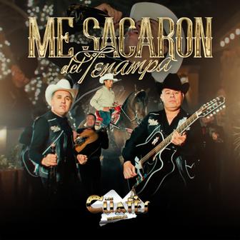 Me sacaron del Tenampa - Single