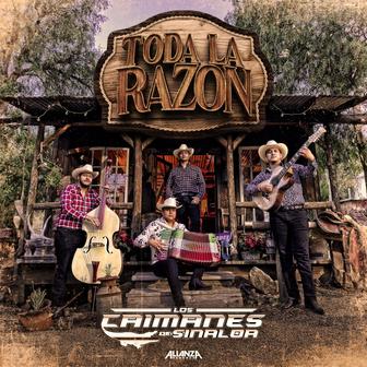 Toda la Razón - Single