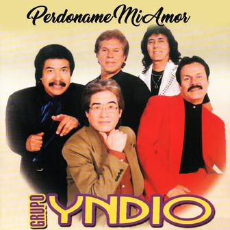Perdóname Mi Amor - Single