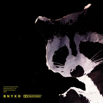 The Summoning of the Raccoons No. 5 in D Major - Single