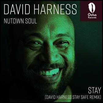 Stay (David Harness Remix)