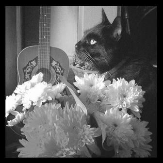 Little Black Star