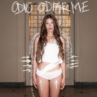 Odio Odiarme
