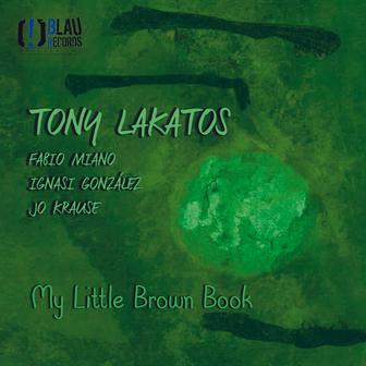 My Little Brown Book