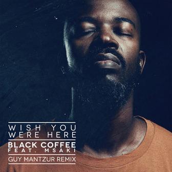 Wish You Were Here (feat. Msaki) [Guy Mantzur Remix]