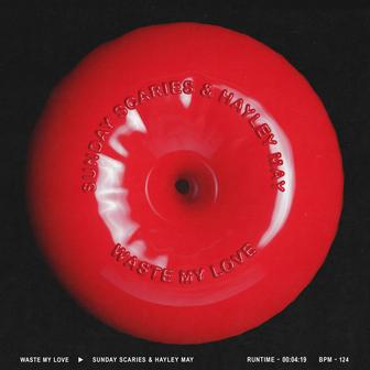 Waste My Love (Extended Mix)