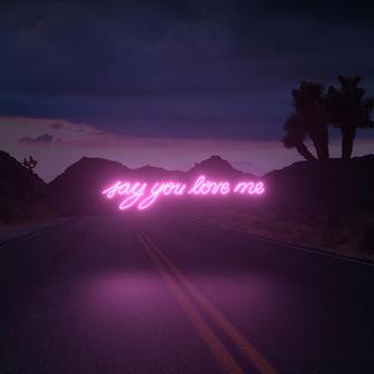 Say You Love Me