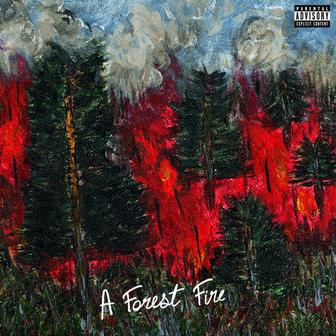 A Forest Fire