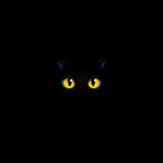 cat person