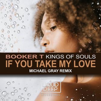 If You Take My Love (Michael Gray Vocal Radio Edit)