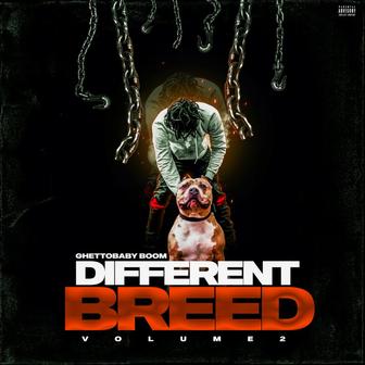 DIFFERENT BREED, Vol. 2