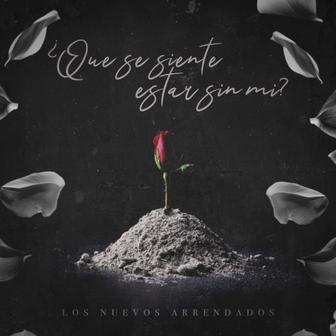 ¿Qué Se Siente Estar Sin Mí? - Single