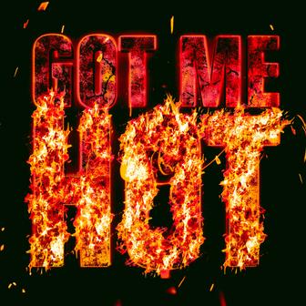Got Me Hot - Single