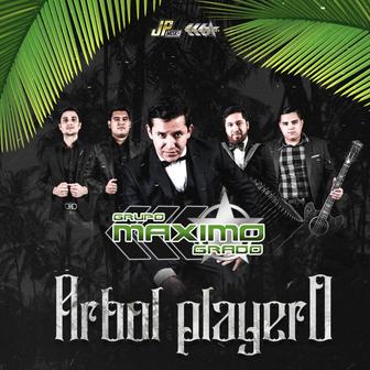 Árbol Playero - Single