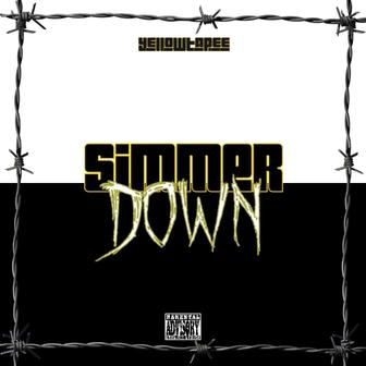 Simmer Down (Freestyle) - Single