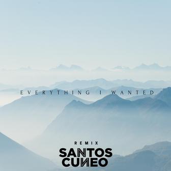Everything I Wanted - Single