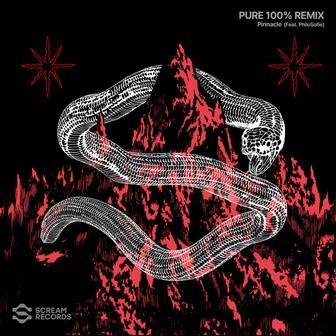 Pinnacle (Pure 100% Remix)