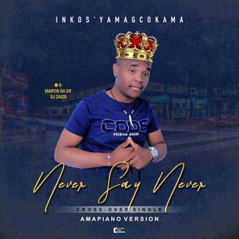 Never Say Never (Amapiano Version)