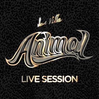 Animal (Live Session) - Single