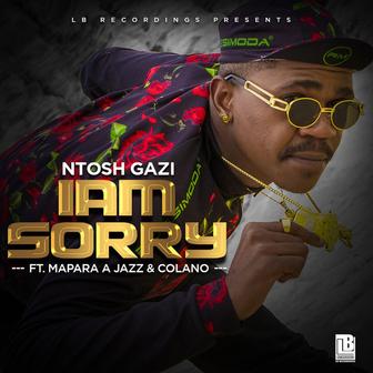 Iam Sorry (feat. Mapara A Jazz and Colano)