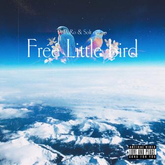 Free Little bird