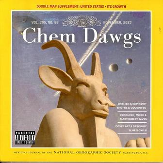 CHEM DAWGS