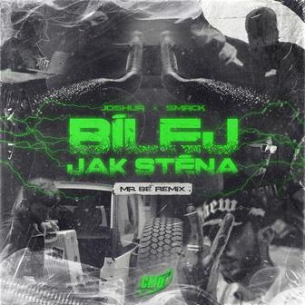 BÍLEJ JAK STĚNA