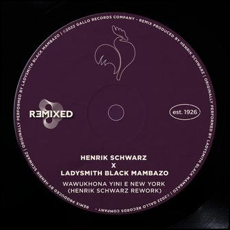 Wawukhona Yini E New York (Henrik Schwarz Rework)