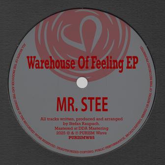 Warehouse Of Feeling EP